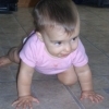 The Crawl 2
